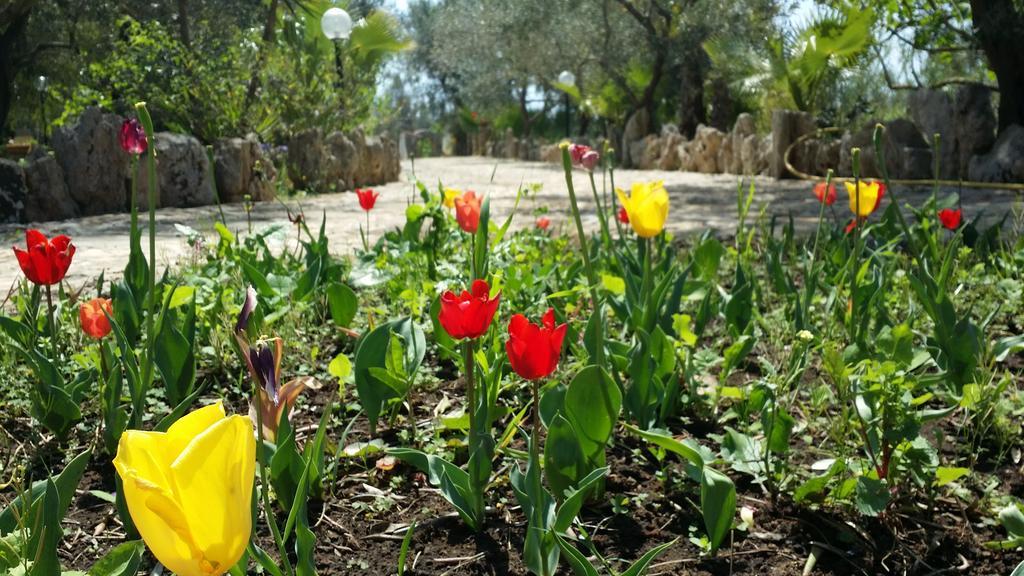 Agriturismo Tenuta La Siesta Gallipoli Bagian luar foto