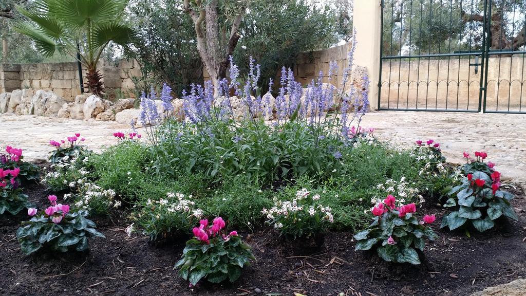 Agriturismo Tenuta La Siesta Gallipoli Bagian luar foto