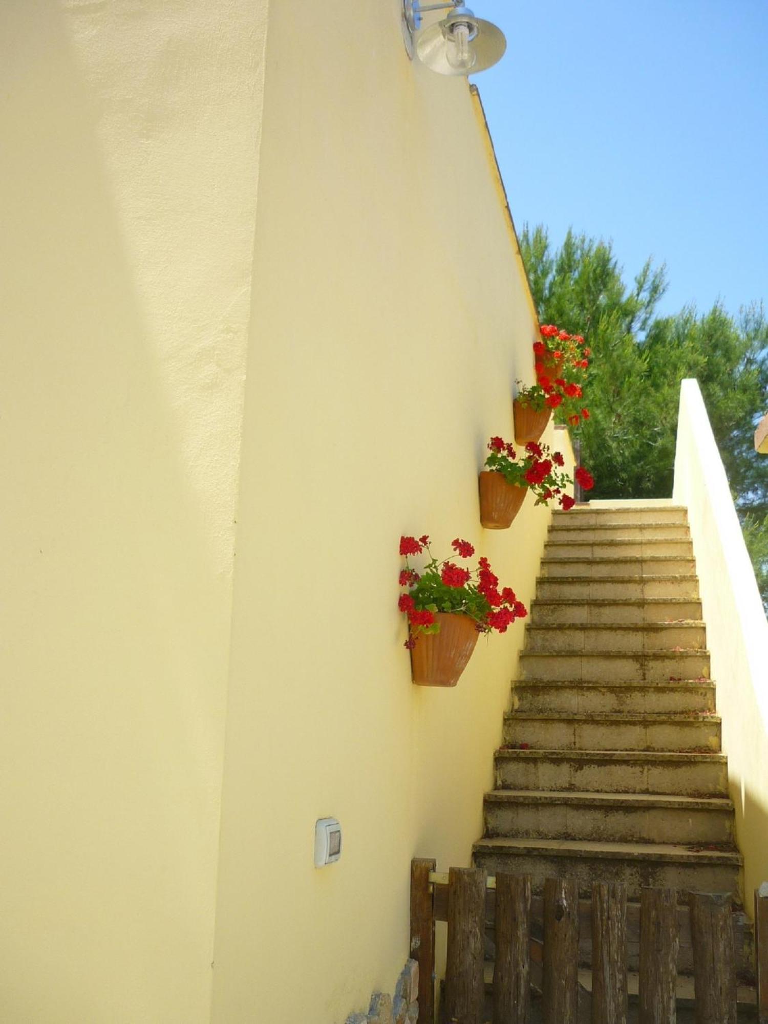 Agriturismo Tenuta La Siesta Gallipoli Bagian luar foto