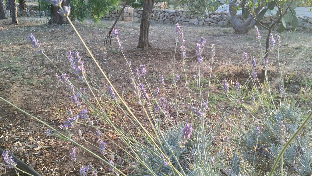 Agriturismo Tenuta La Siesta Gallipoli Bagian luar foto