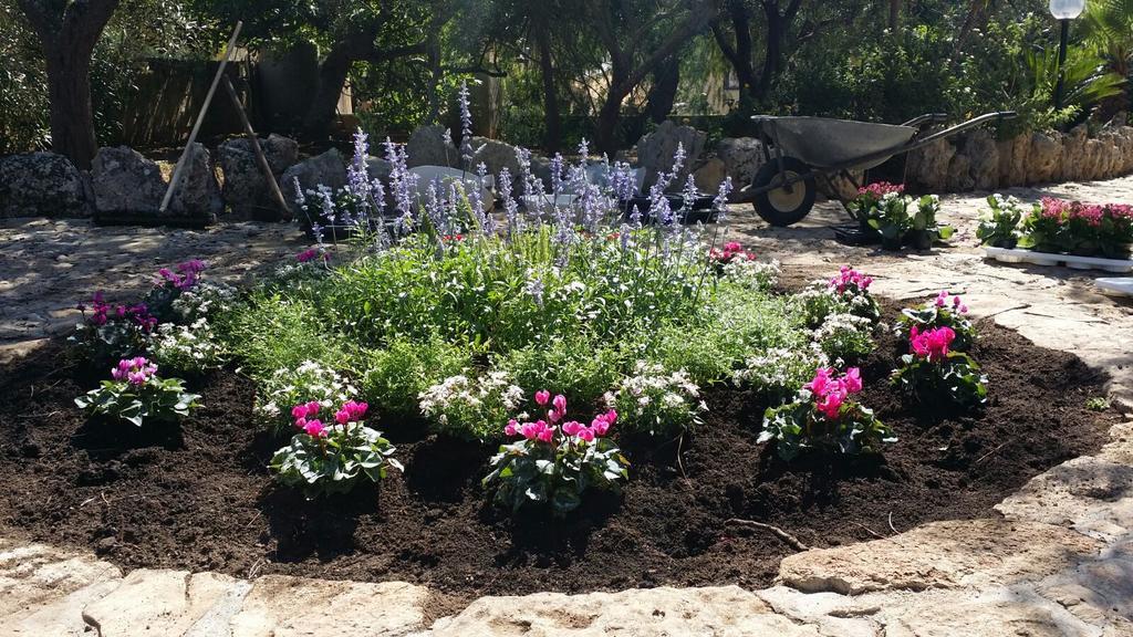 Agriturismo Tenuta La Siesta Gallipoli Bagian luar foto
