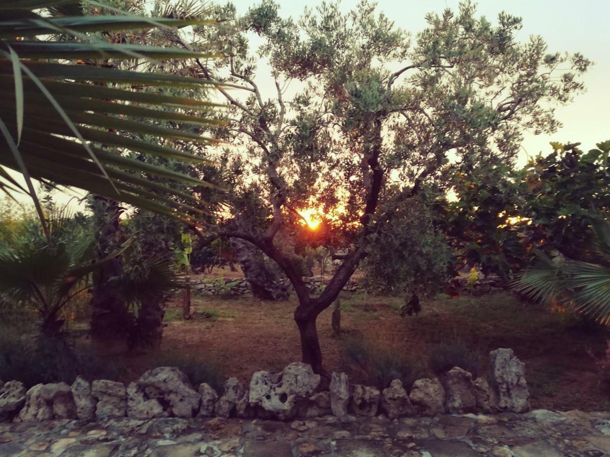 Agriturismo Tenuta La Siesta Gallipoli Bagian luar foto