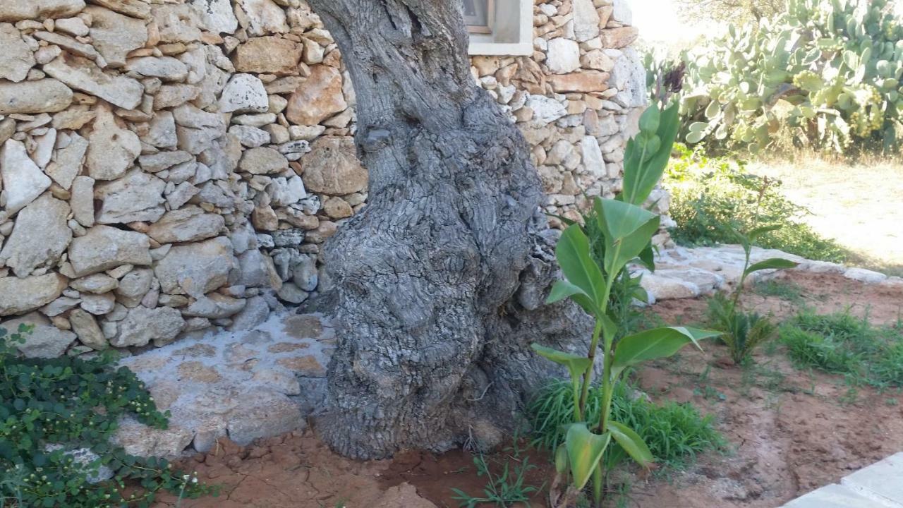 Agriturismo Tenuta La Siesta Gallipoli Bagian luar foto